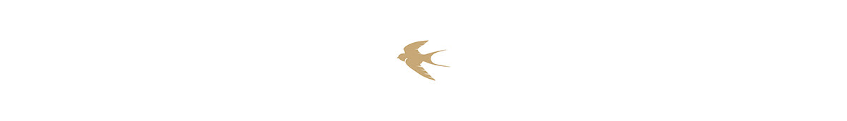 bird brand concept design jewerly logo gold swallow beauty instagram