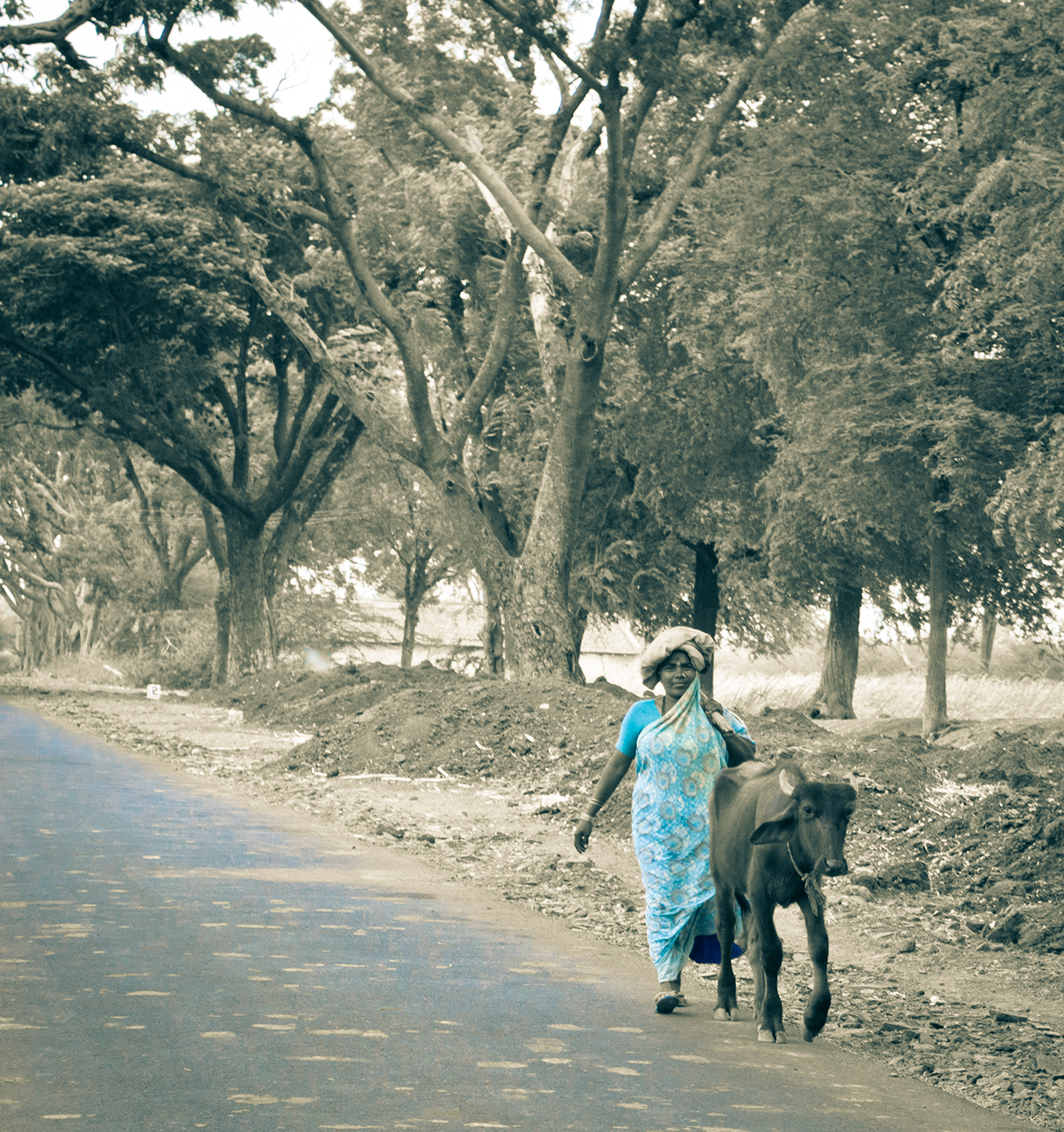 Travel photo documentary journey Street Transport rural people India