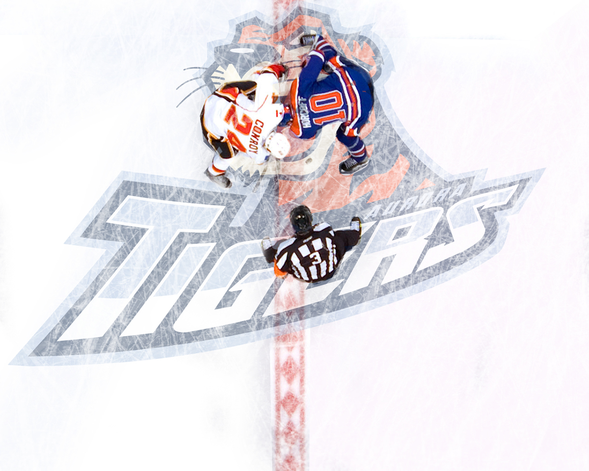 team identity Team Branding Sports Branding Sports logo hockey tigers tiger logo