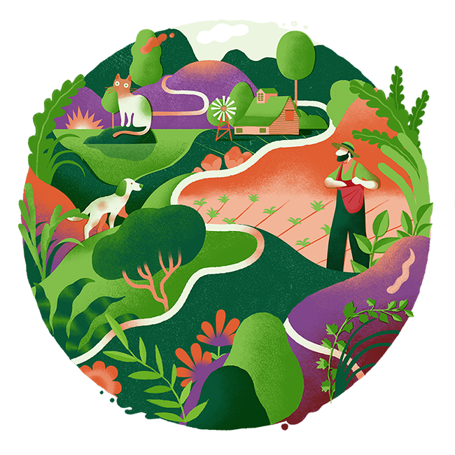 animation  Cat design dog gif ILLUSTRATION  infographic Landscape loop Nature