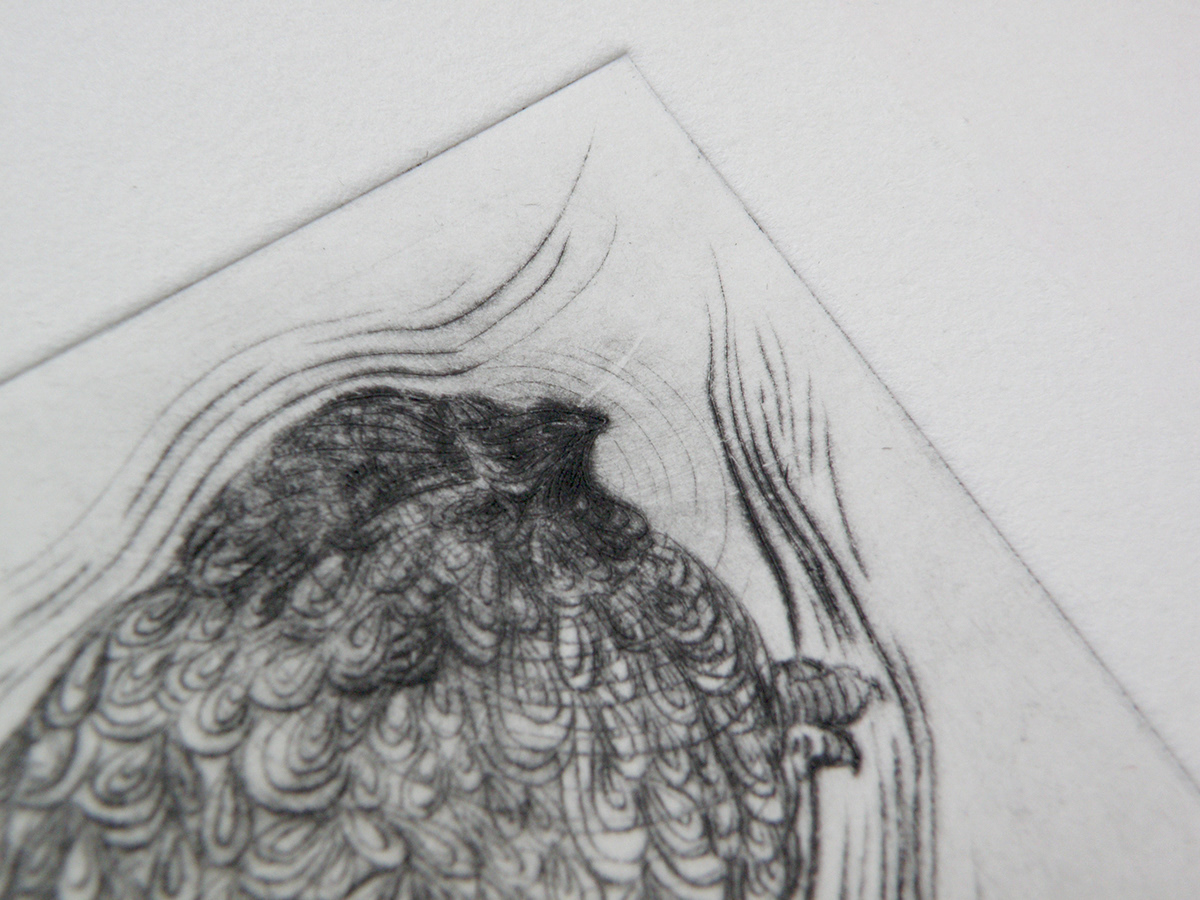 DryPoint  traditional printing birds  patterns