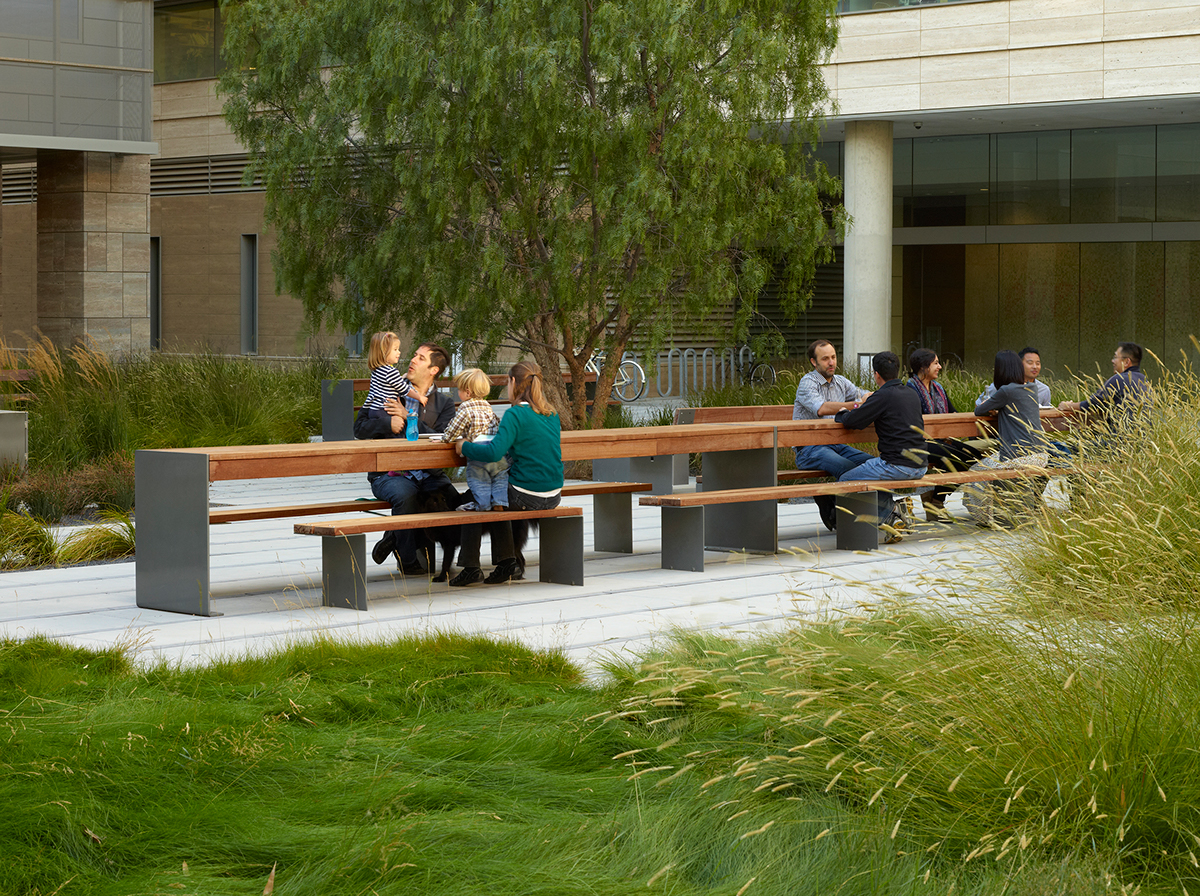 Mission Bay UCSF grasses courtyard Green Roof
