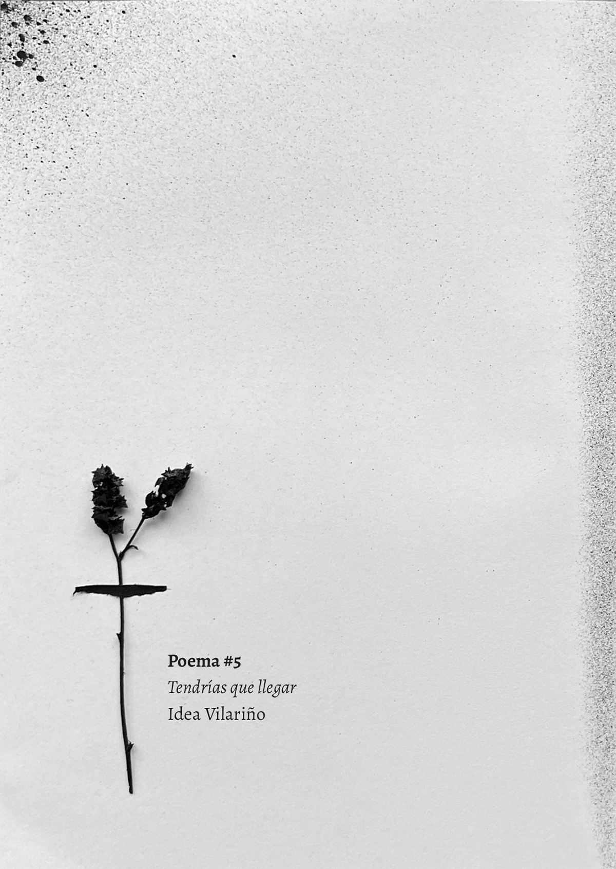 fanzine poema diseño diseño gráfico Nature fadu uba Gabriele collage artwork