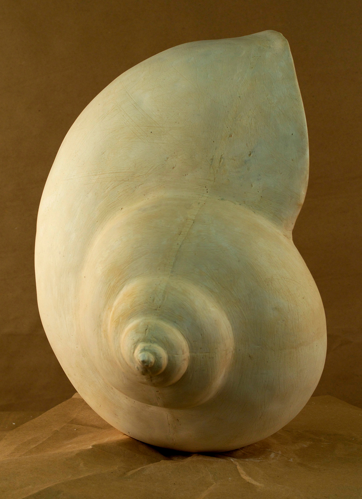 sculpture shell 3D Spatial Dynamics