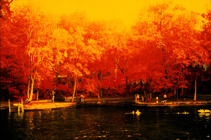 IR Color Infrared Wekiva Springs FL