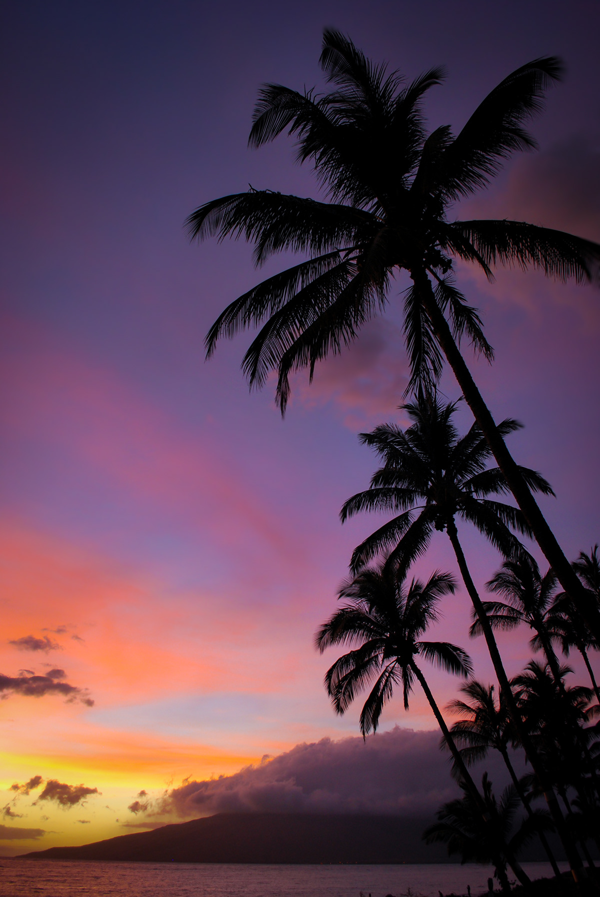 maui sunset SKY clouds haleakala HAWAII Sun color Pastels palm Palm Trees trees beach Ocean