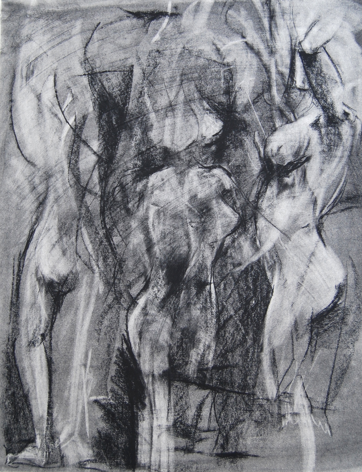 Figure Drawing animals charcoal Foundation Year risd
