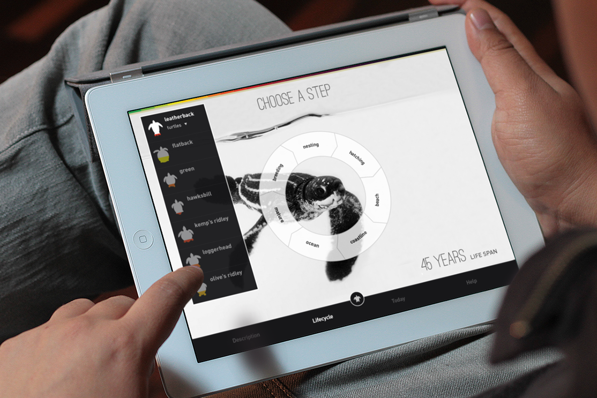 interaction concept UI ux Interface minimalist flat design WWF graphics information user interface iPad app application
