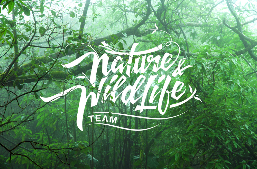 Wild naturals. Wildlife лого. Логотип nature. Wild nature логотип. Дискавери Дикая природа логотип.