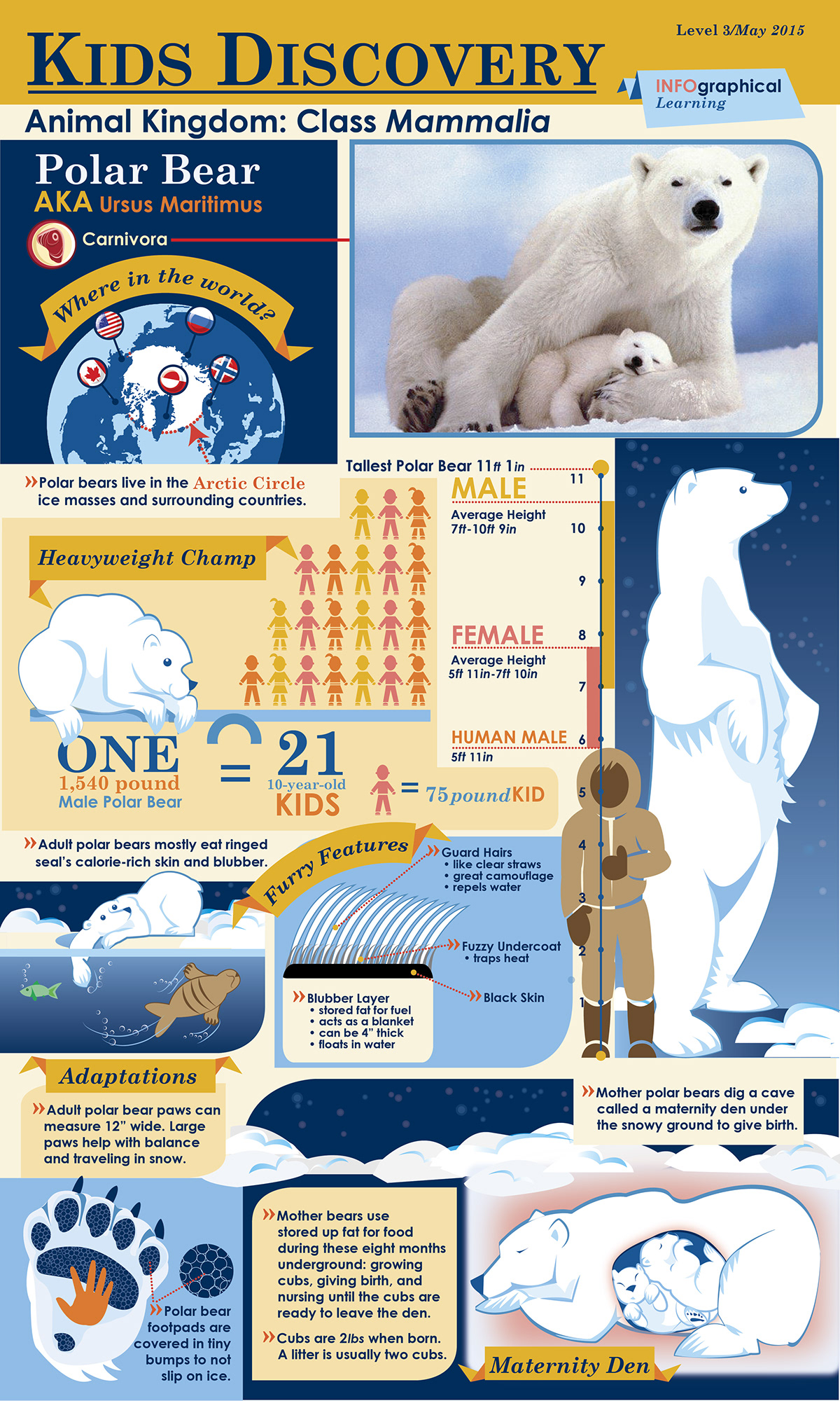 infographic science children educational