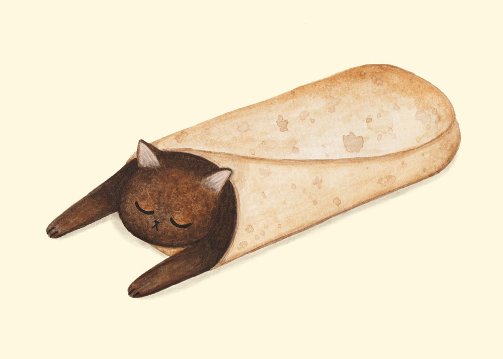 Burrito Food  Cat