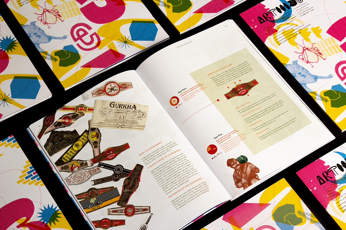 book editorial ILLUSTRATION  infographic Layout magazine Magazine design print student Zine 