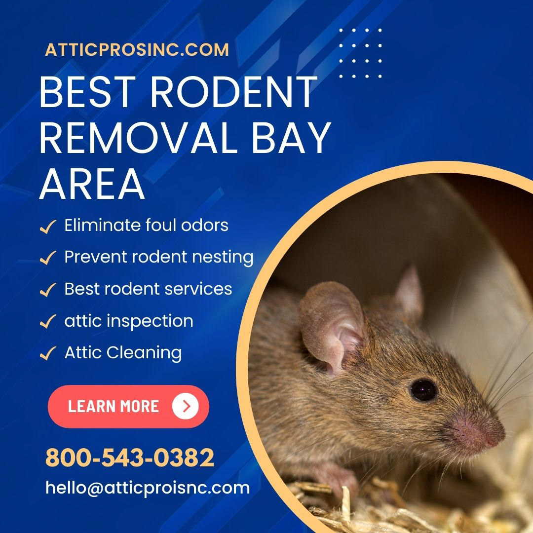 best rodent Removal bay area