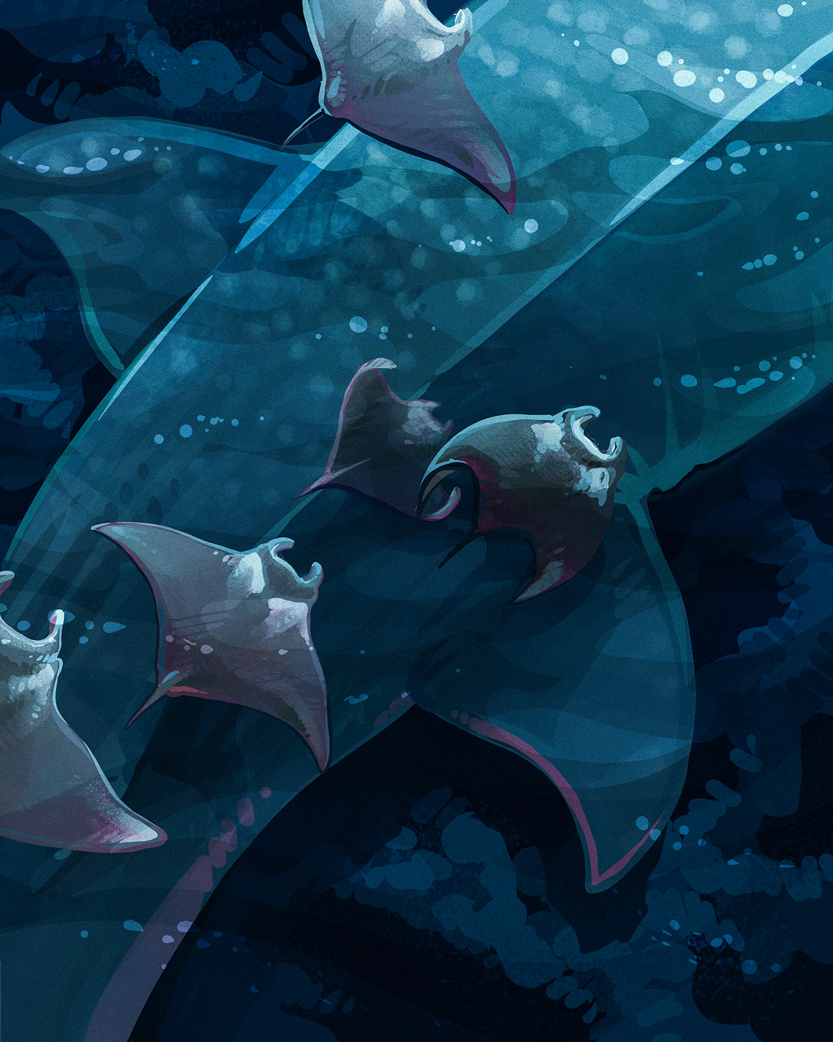 Procreate Ocean Whale manta ray ILLUSTRATION  water under water