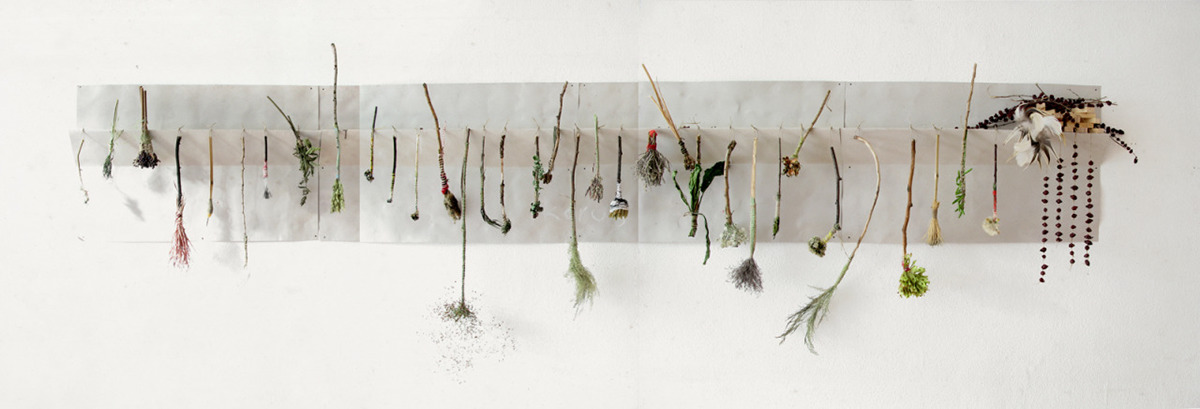 Project work in progress installation Nature season blossoms flower mixed media