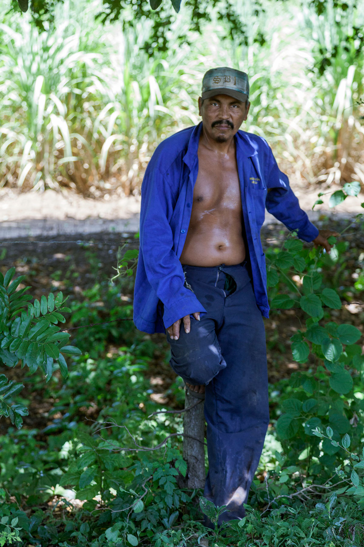 nicaragua sugar Workers Human rights