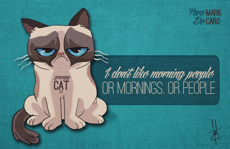 ilustration cartoon Cat grumpy