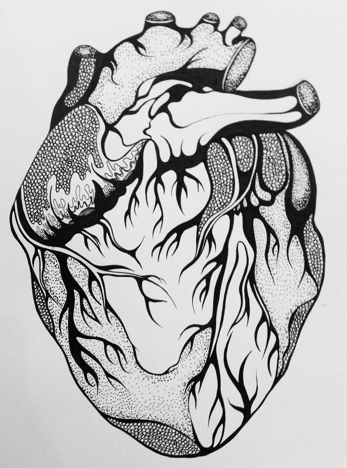 anatomy Pointillism dots details heart human veins black and white vintage fast forward fast motion video pattern structure human anatomy