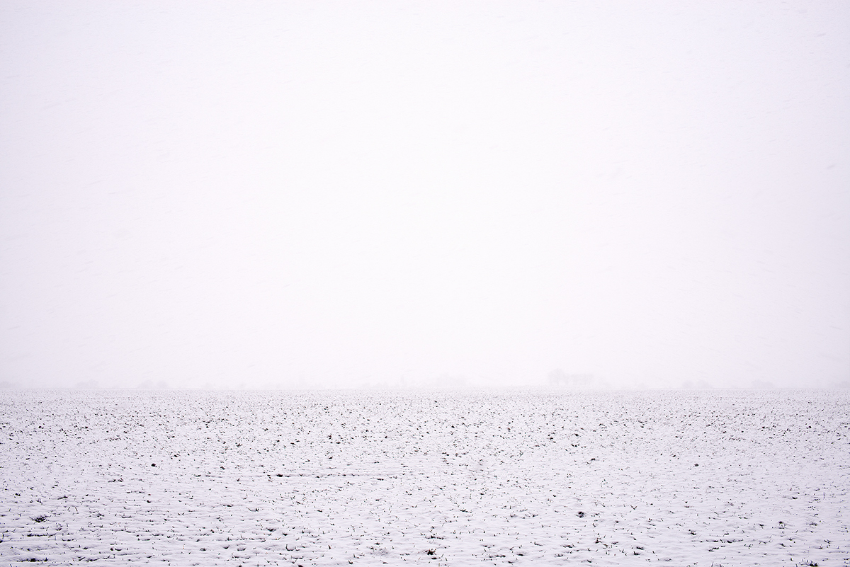 schnee  WINTER  Snow  fog  nebel  minimal  minimalism