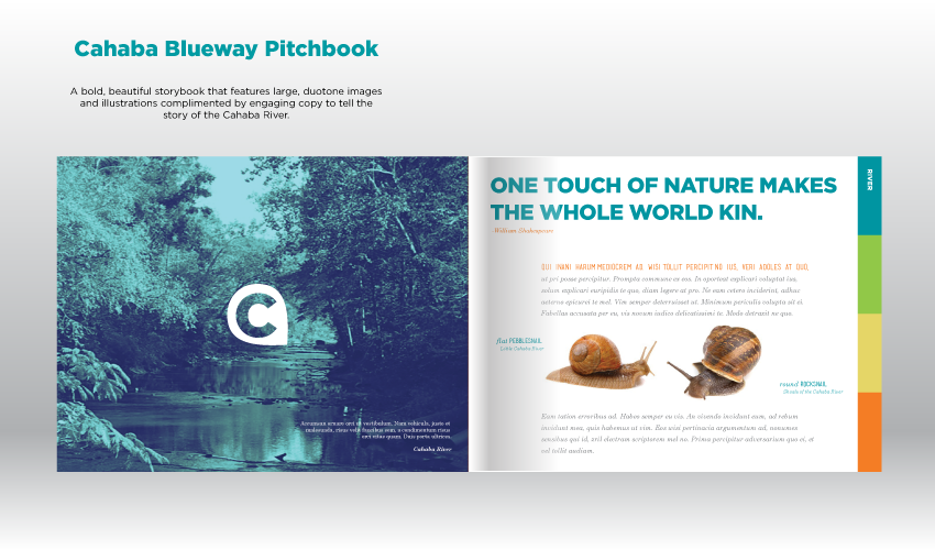 Cahaba  cahaba river BlueWay Design for Good Signage Rural Design identity nature design Outdoor social design pitchbook ideas that matter cahaba blueway innovative design Web