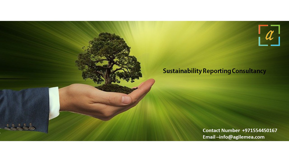 sustainability reporting consultancy