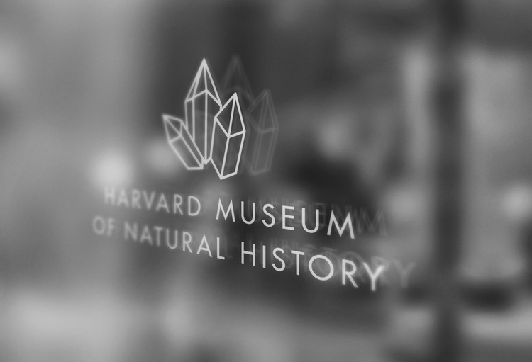 HMNH brand blue mineral rock bone natural history Harvard boston GD2015