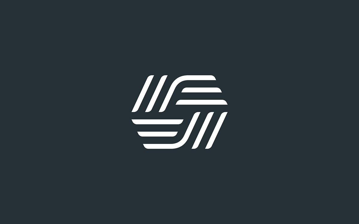 art directon brand brand identity digital identity Logo Design typography   Website