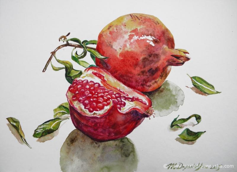 pomegranate paradise aquarelle