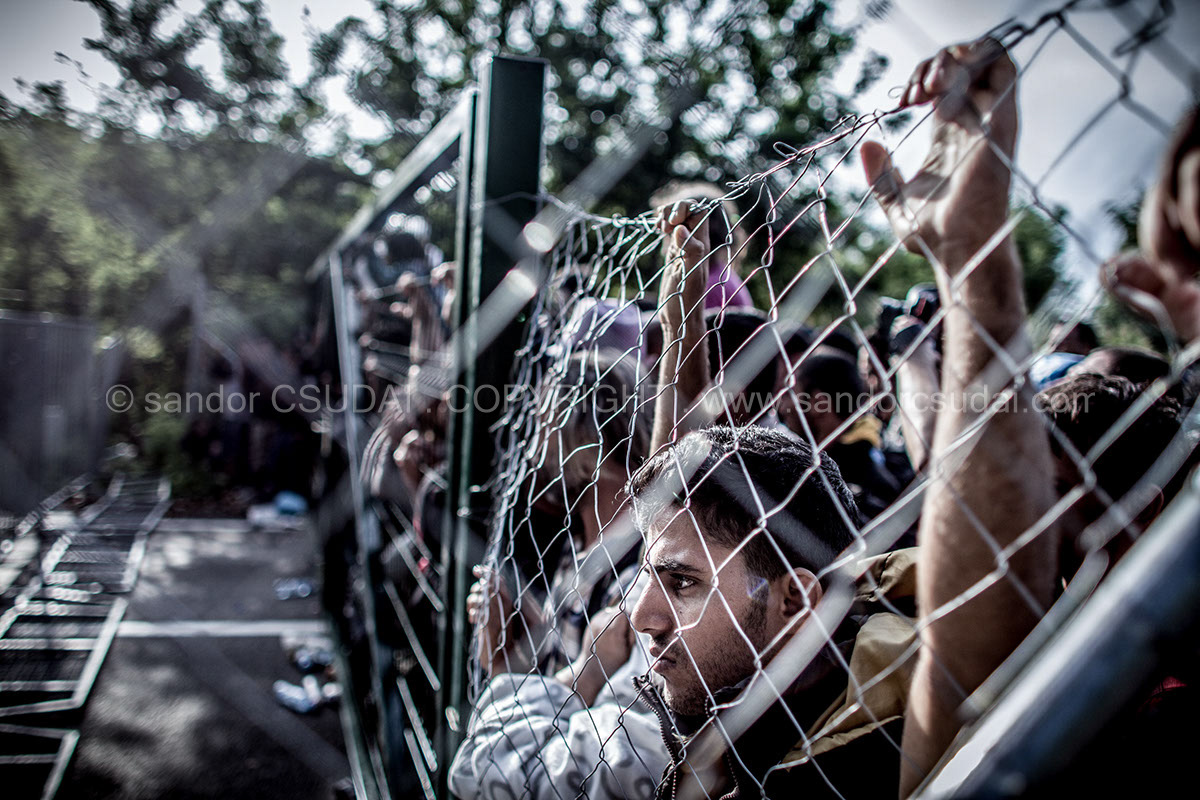 Adobe Portfolio migrant migrants Refugees lesbos   Europe Balkan route hungary