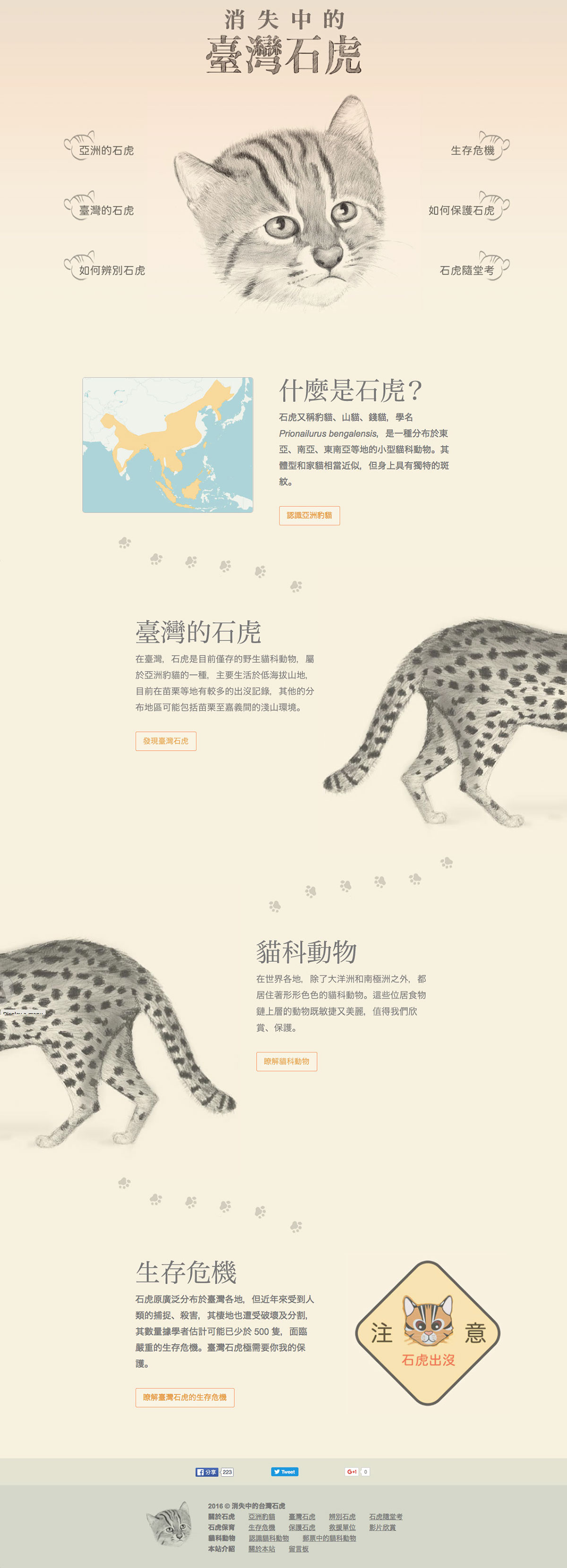 leopard Cat html5 css3 JavaScript animation  visual design Drawing  Web user interface