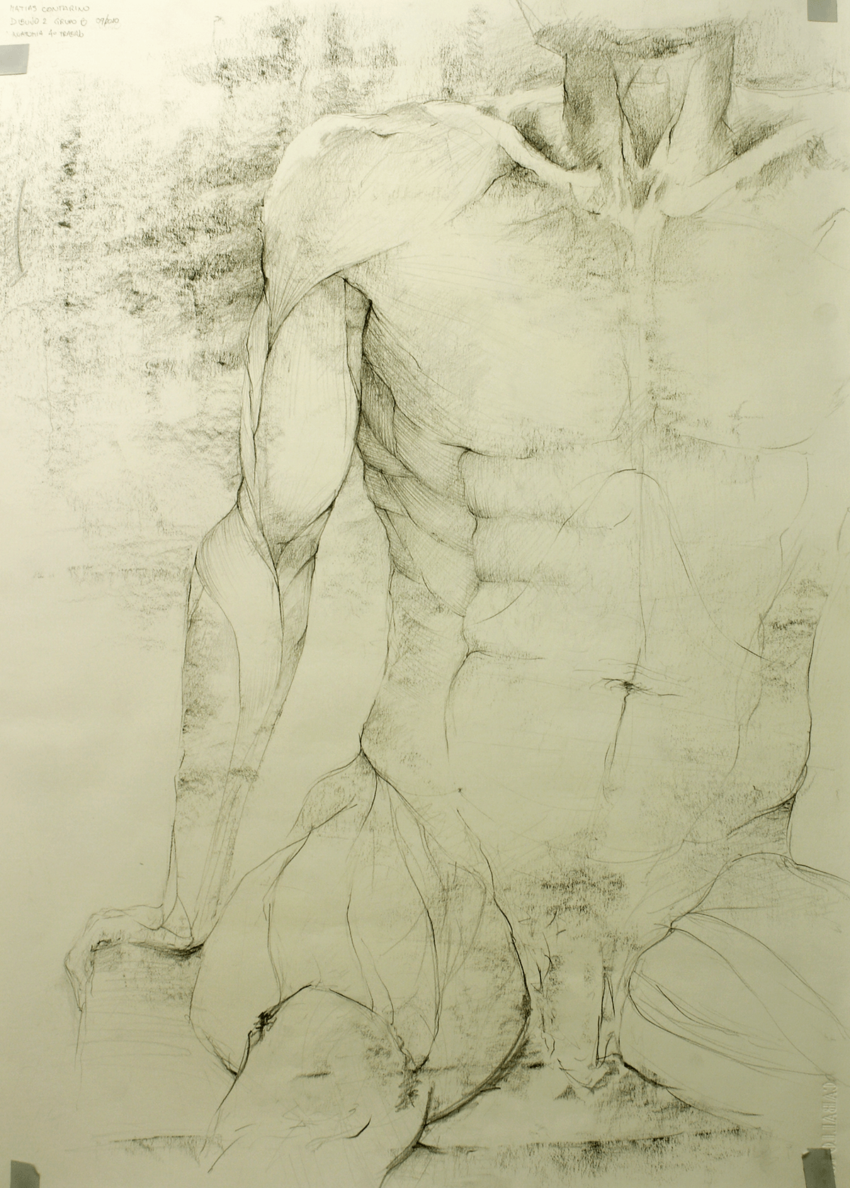 pencil art anatomy body hands ilustracion dibujo lapiz arte anatomia