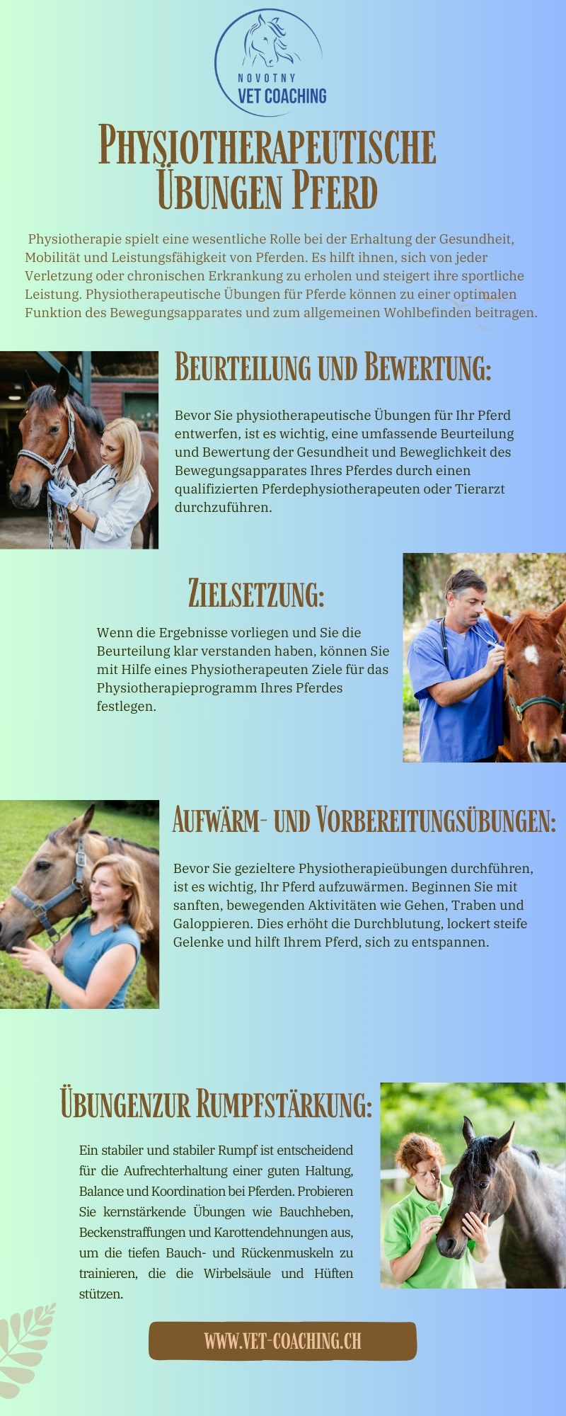 horses veterinary Treatment