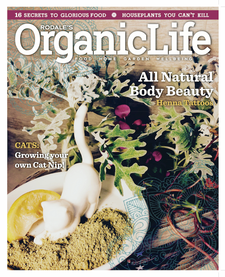 magazine organic design