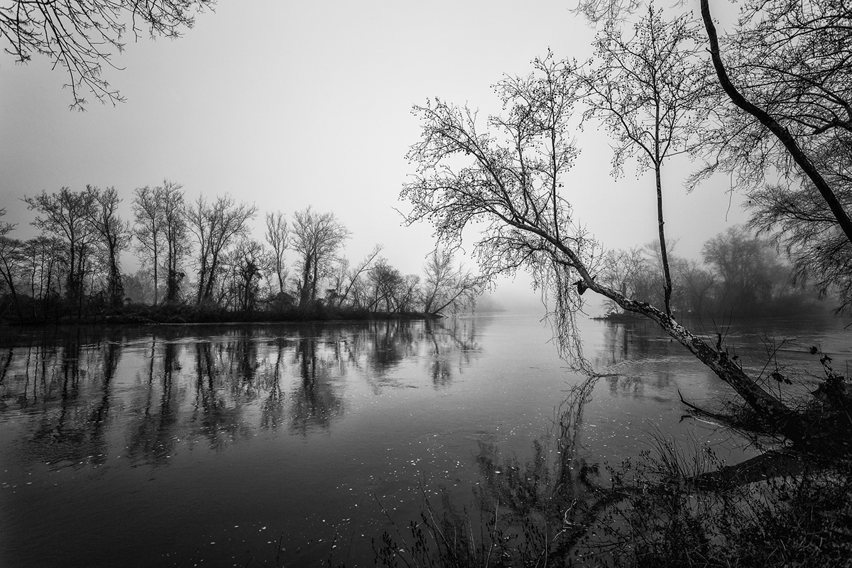 black and white foggy monochrome Moody reflections river trees Landscape solitude water