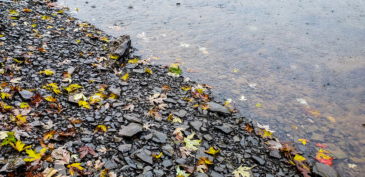 autumn rain Susquehanna River Fall leaves river Pennsylvania Nature Photography  Landscape