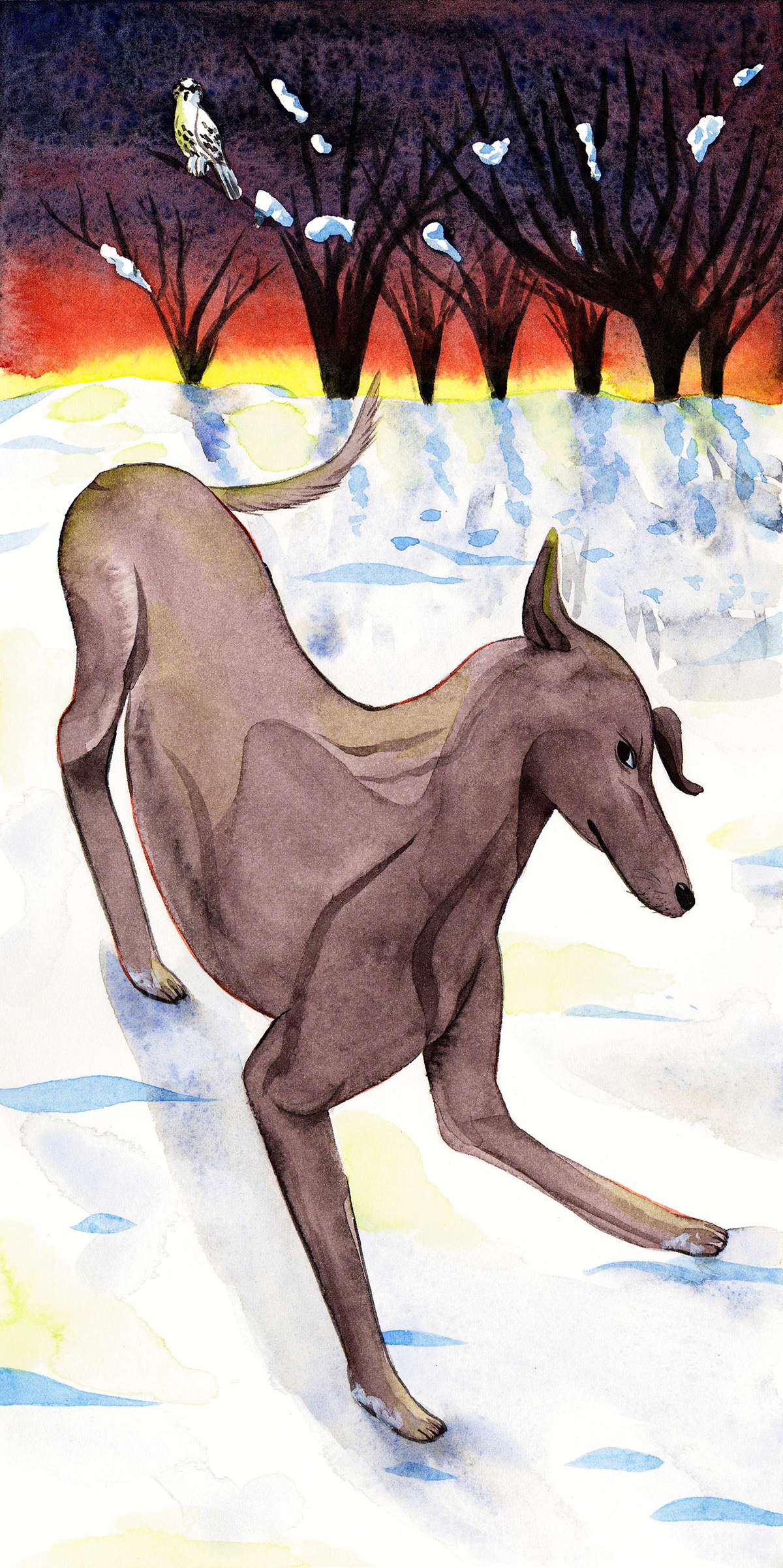 watercolor Madame Bovary's Greyhound karen russell greyhound short story