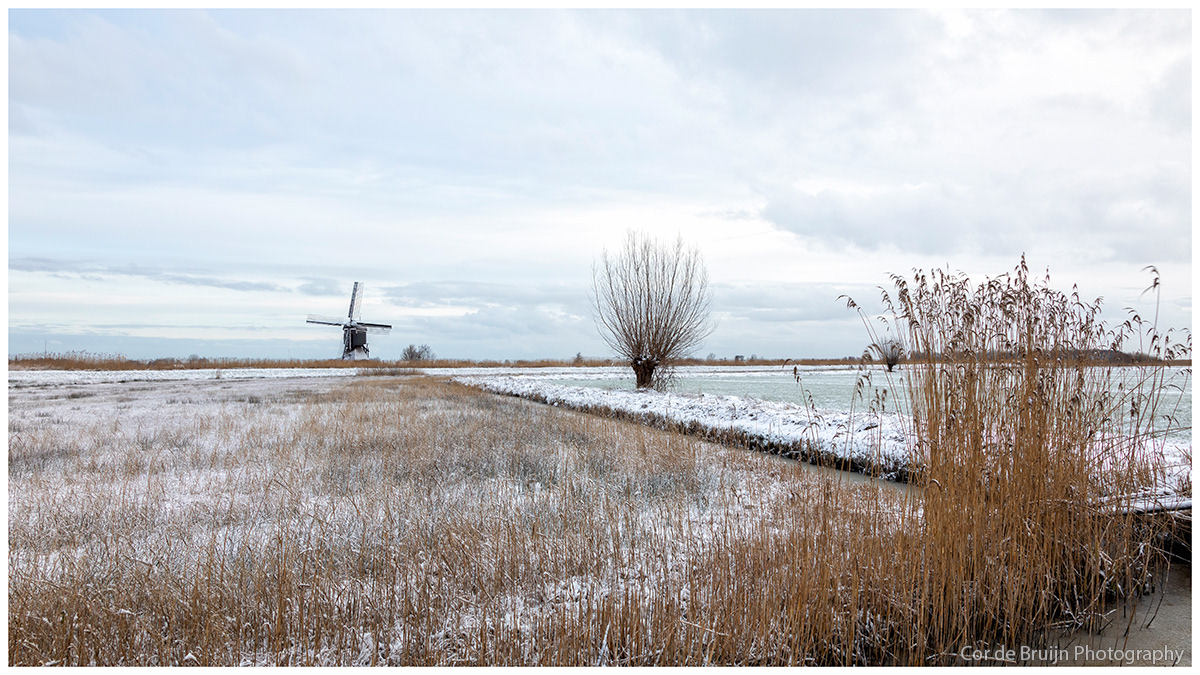 snow windmill SKY winter meadow countryside Landscape Holland Netherlands