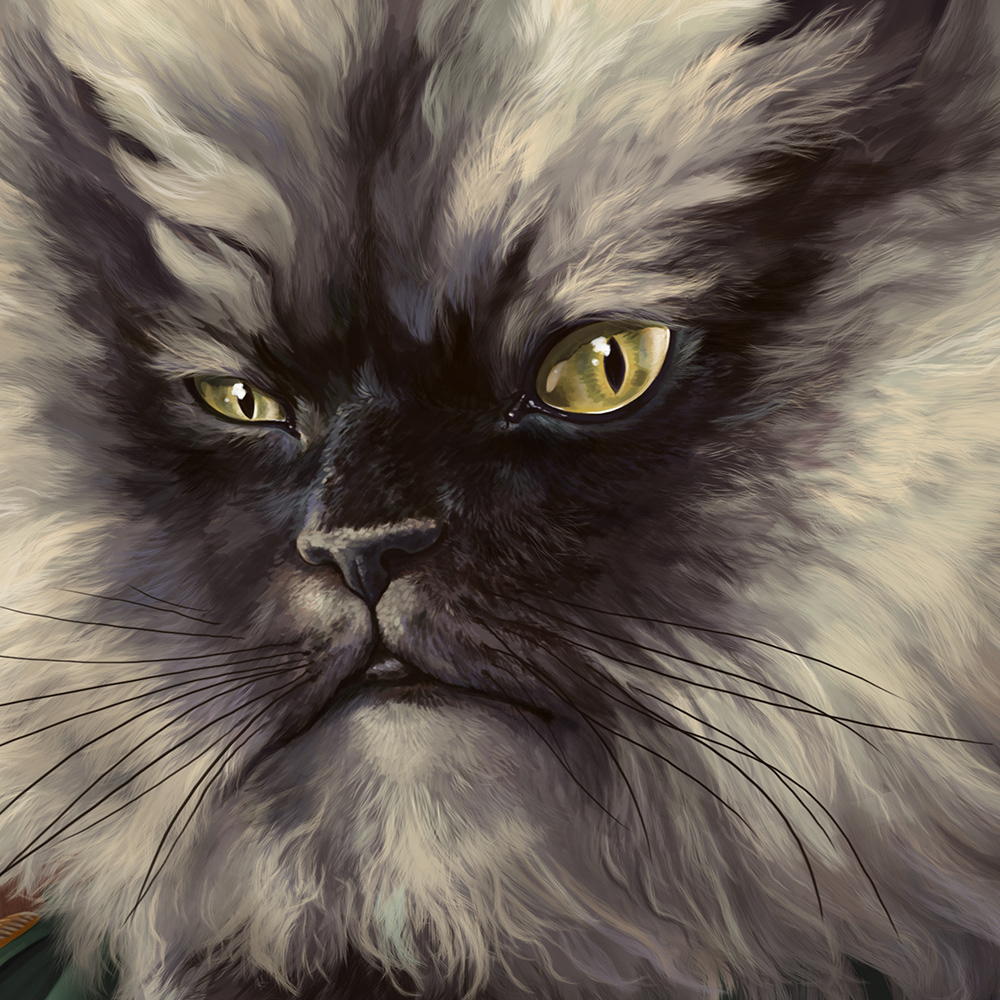 Colonel Meow cat portrait