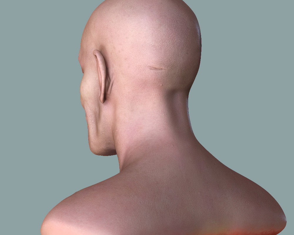 human skin texture 3D 3D model