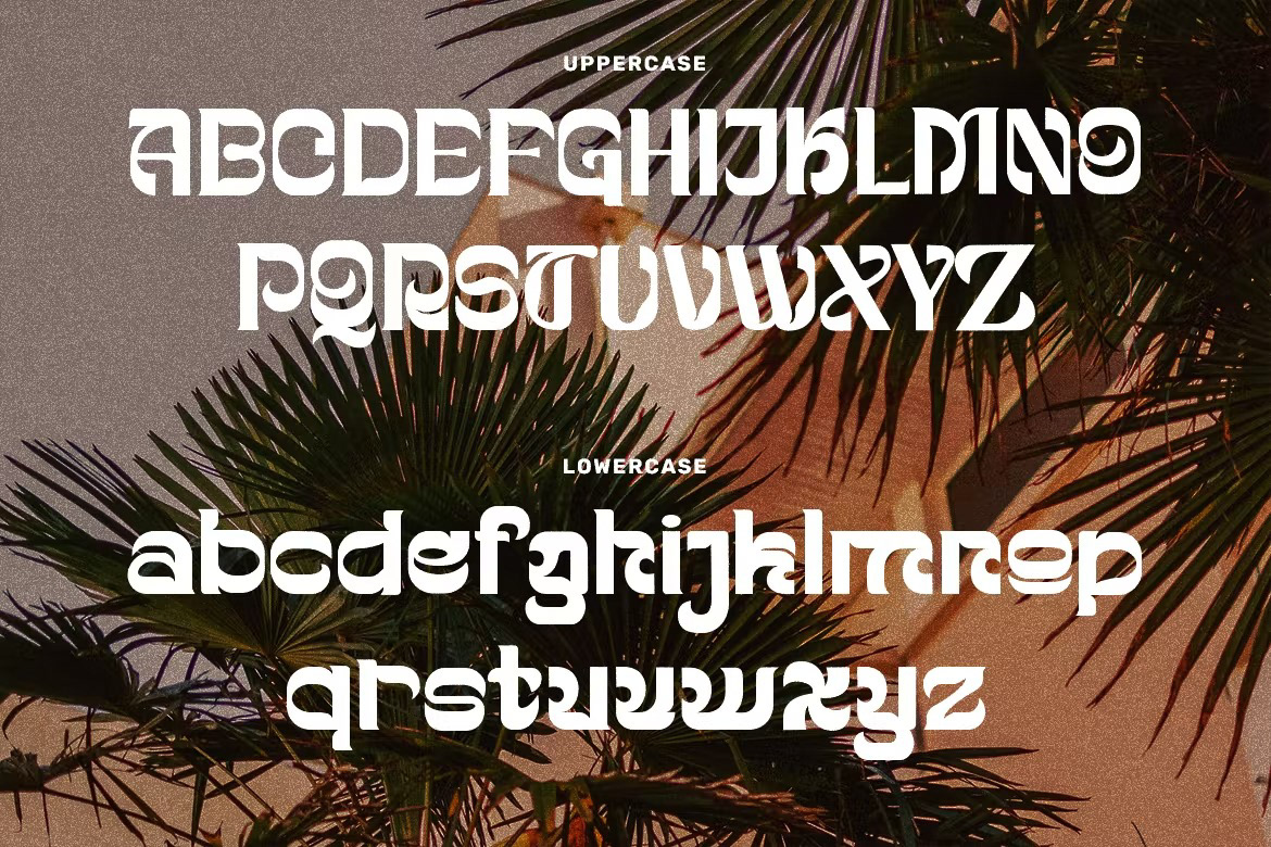 free branding free display free display font free featured Free font free logo free logo design free popular free typeface free typography