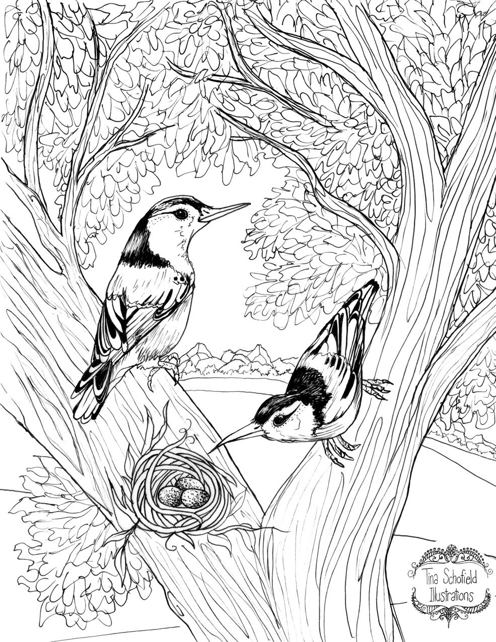 white-breasted finches american robins birds coloring book black and white ink drawings animals wildlife activism Human rights