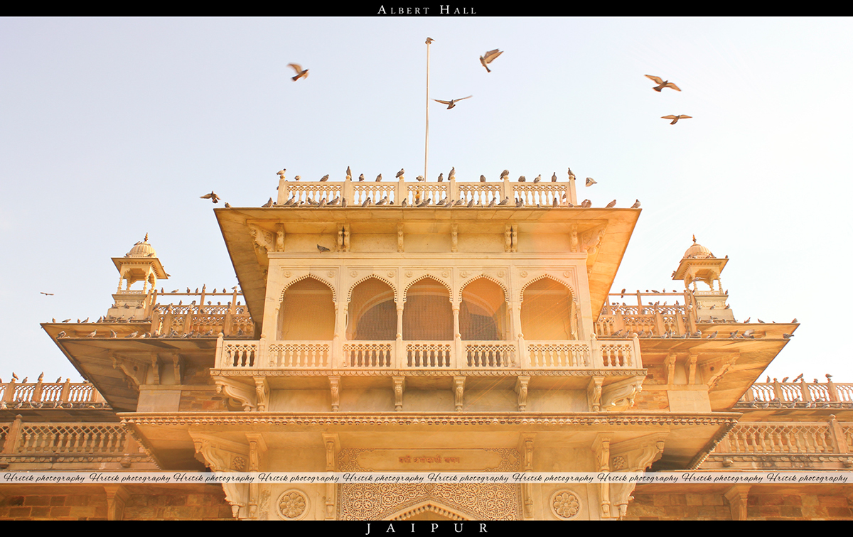 Rajasthan travel photography Jaipur  India Travel Udaipur