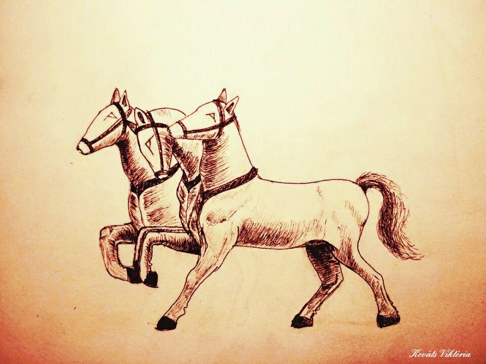 horse ink sakura pigma micron lines