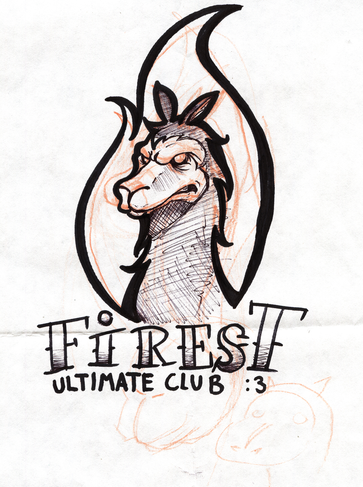 llama fire Ultimate frisbee club
