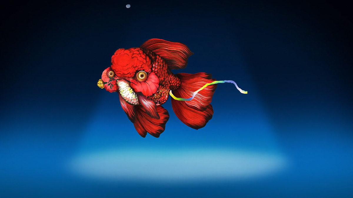 animation  artist cartoon goldfish motion motion graphic move