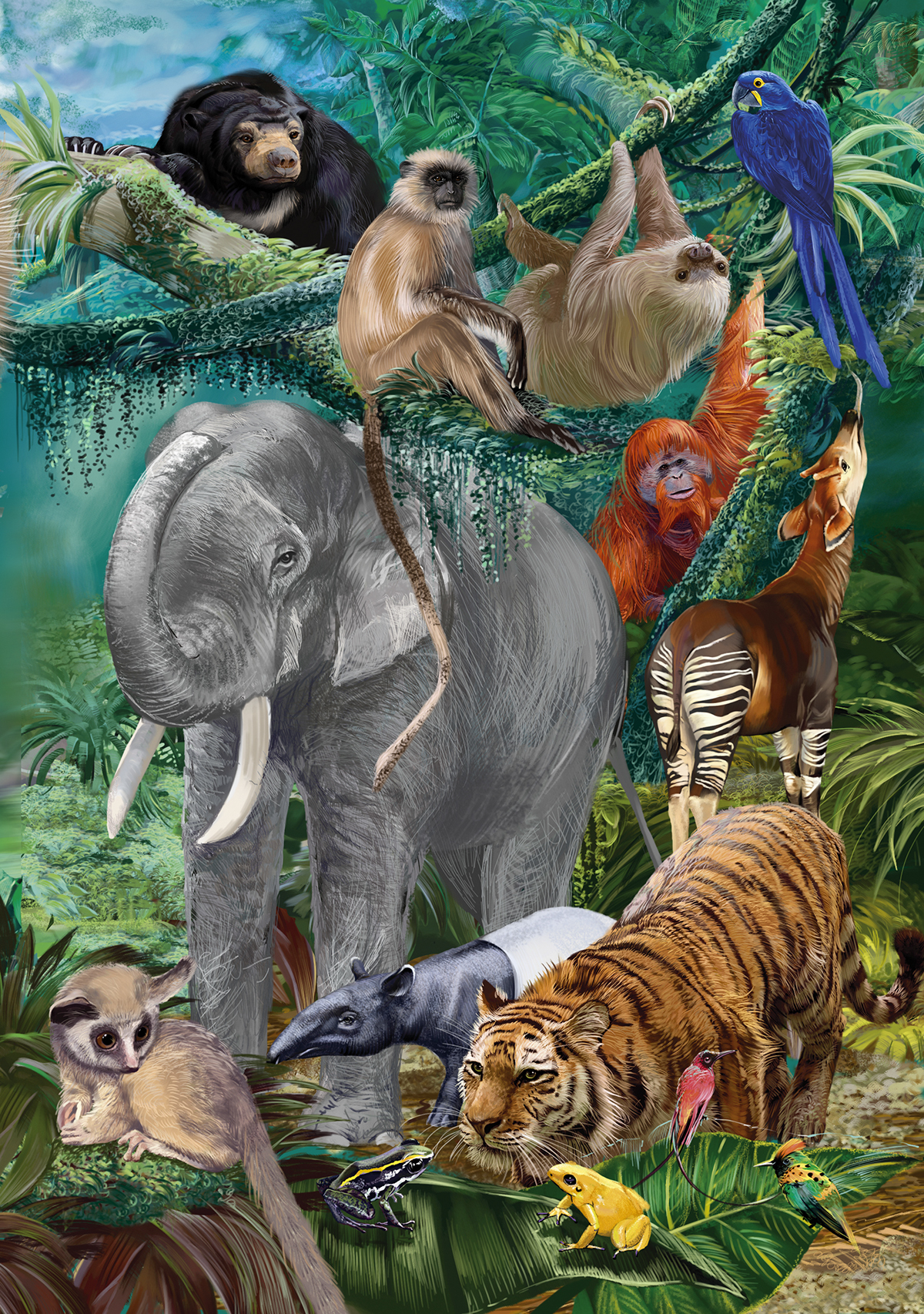 Amazing animals of the worlds (encyclopedia)) on Behance