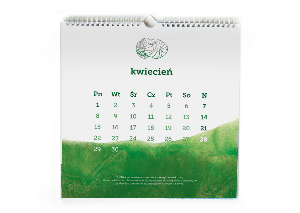 tinctoria    Packaging krakow logo wool natural dyes barwniki naturalne  ASP Callendar kalendarz weronika doroszuk 