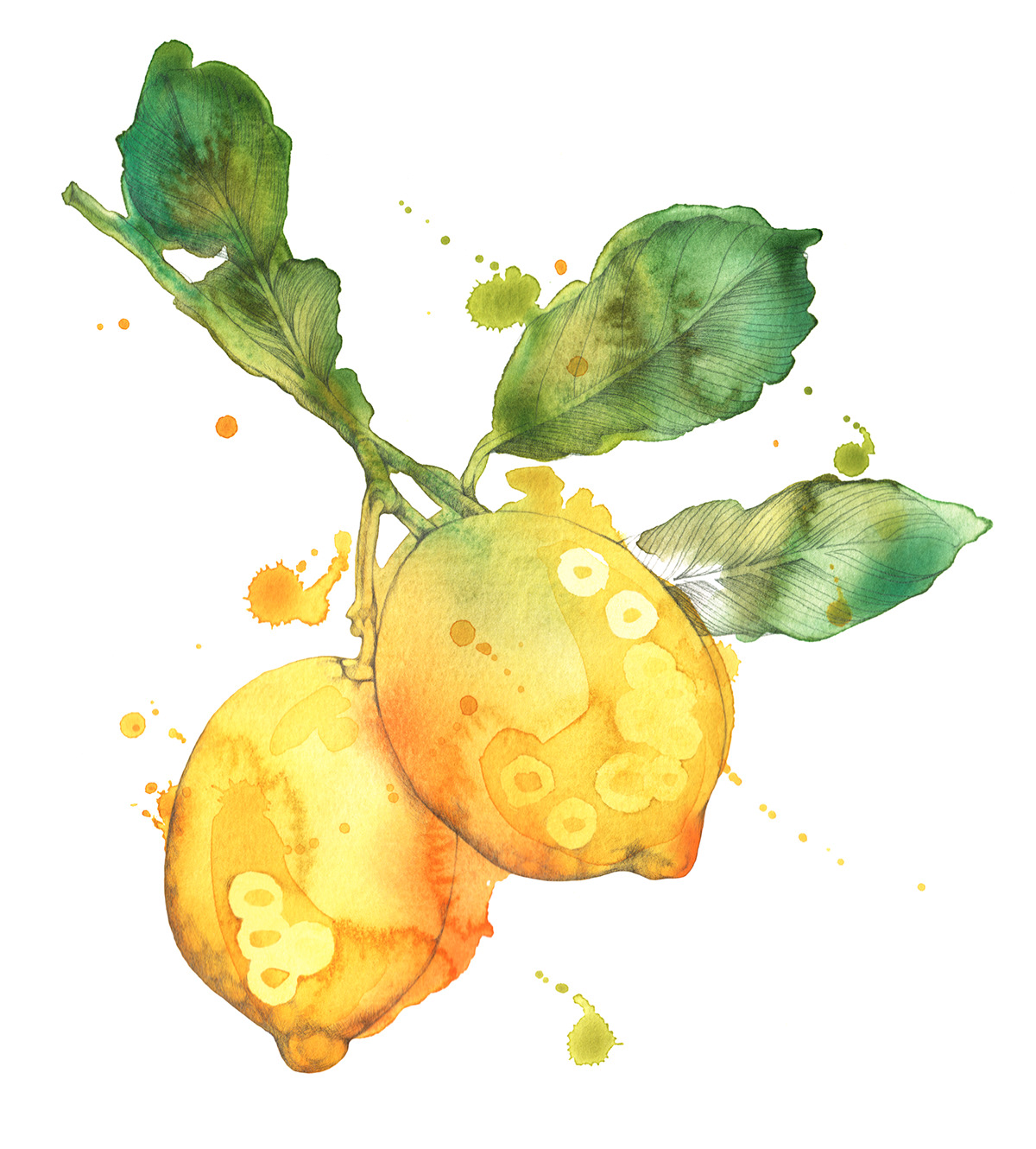 bright colours Food  food and drink fresh fresh food Fruit packaging illustration produce vegetables Vegetarian