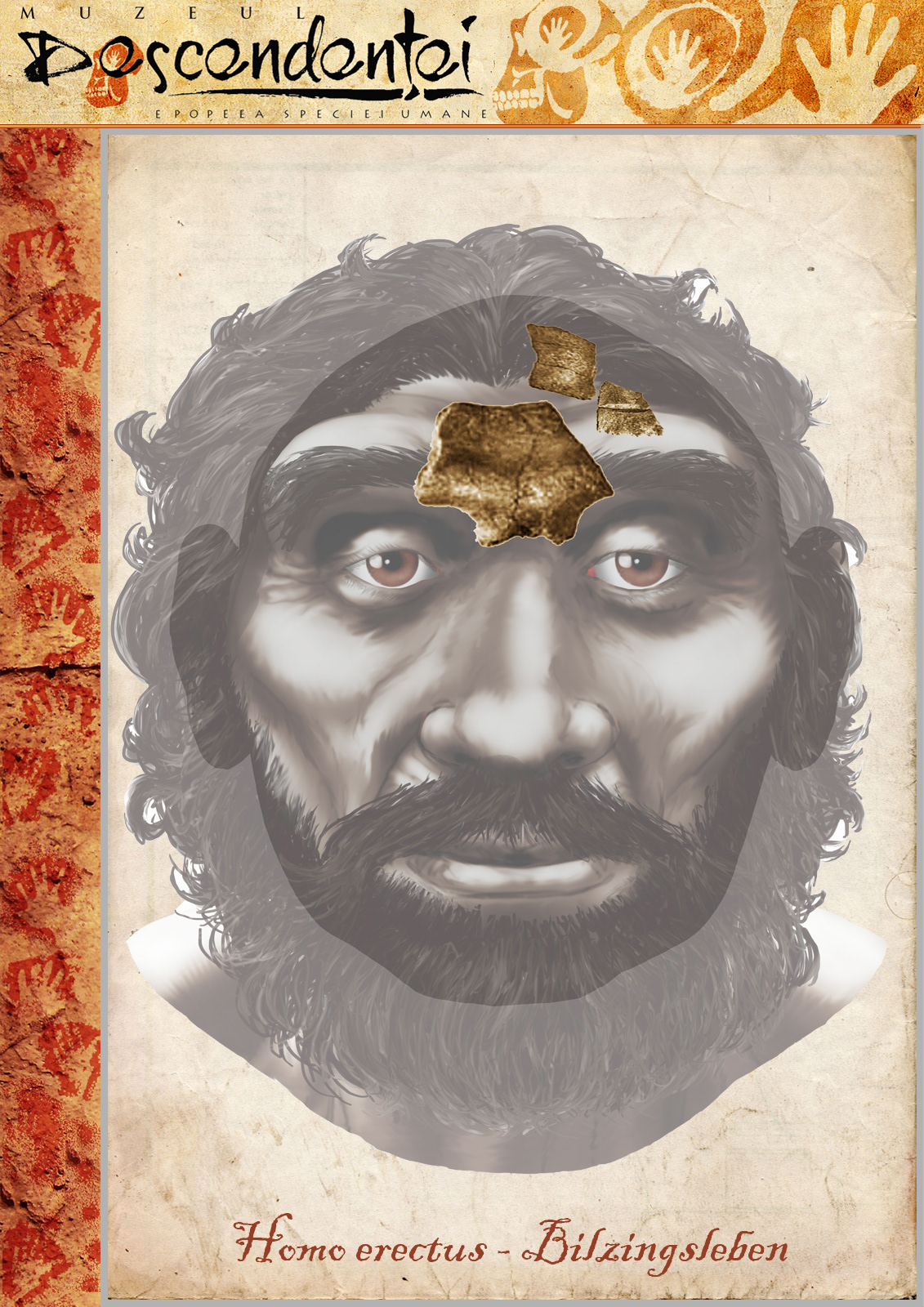 Homo erectus - Bilzingsleben human evolution neanderthal ergaster sahelanthropus ardipithecus kenyanthropus australopithecus habilis heidelbergensis cro-magnon afarensis paranthropus