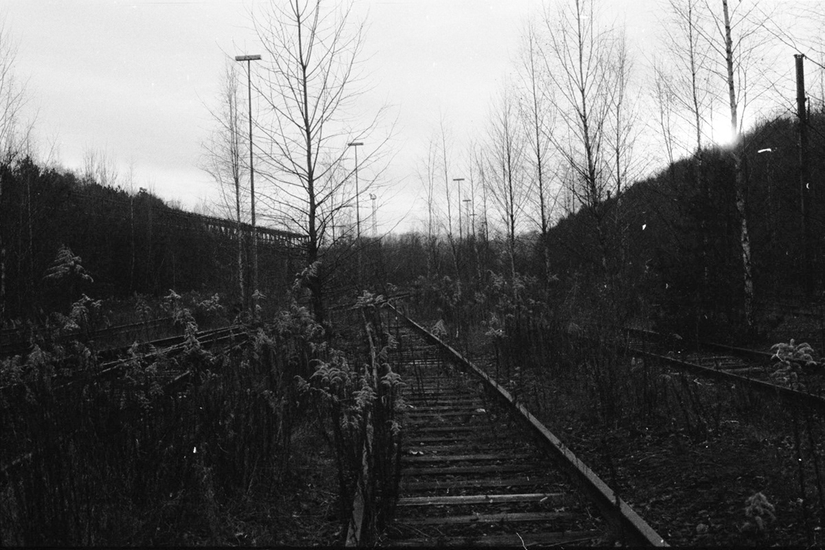 wood land factory rails Nature autumn black-and-white Analogue